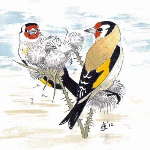 Goldfinches Goldfinches by John Clare