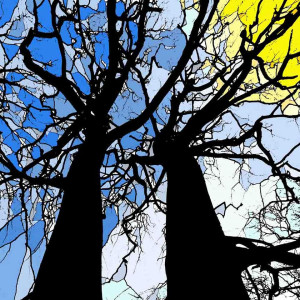 Pennyghael Trees Pennyghael Trees by John Clare