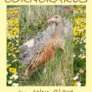 Corncrakes Corncrakes. A booklet by John CLare.