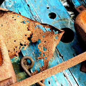 Live Rust Live Rust. Photo by John Clare