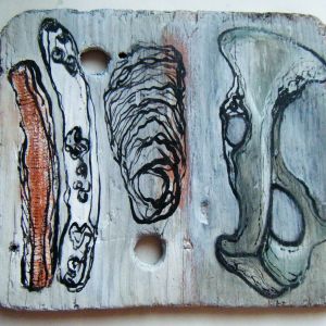 Shells and Bone Mixed media, found wood art called 'Shells and Bone' by Sue Murdoch